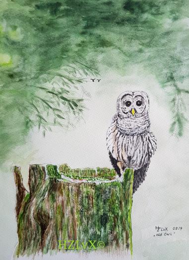 24 x 32 cm ,     "Owl"      ONLY PROFESSIONAL PRINTS AVAILABLE !!!!!