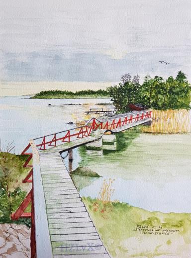 24 x 32 cm   "Stensunds-Naturreservat, Trosa, Sveden" on Canson Montval 300,